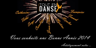 bonnes-annee-2014-ted.jpg