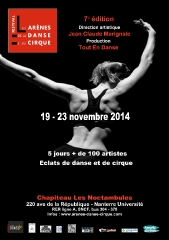 affiches-festival-2014.jpg